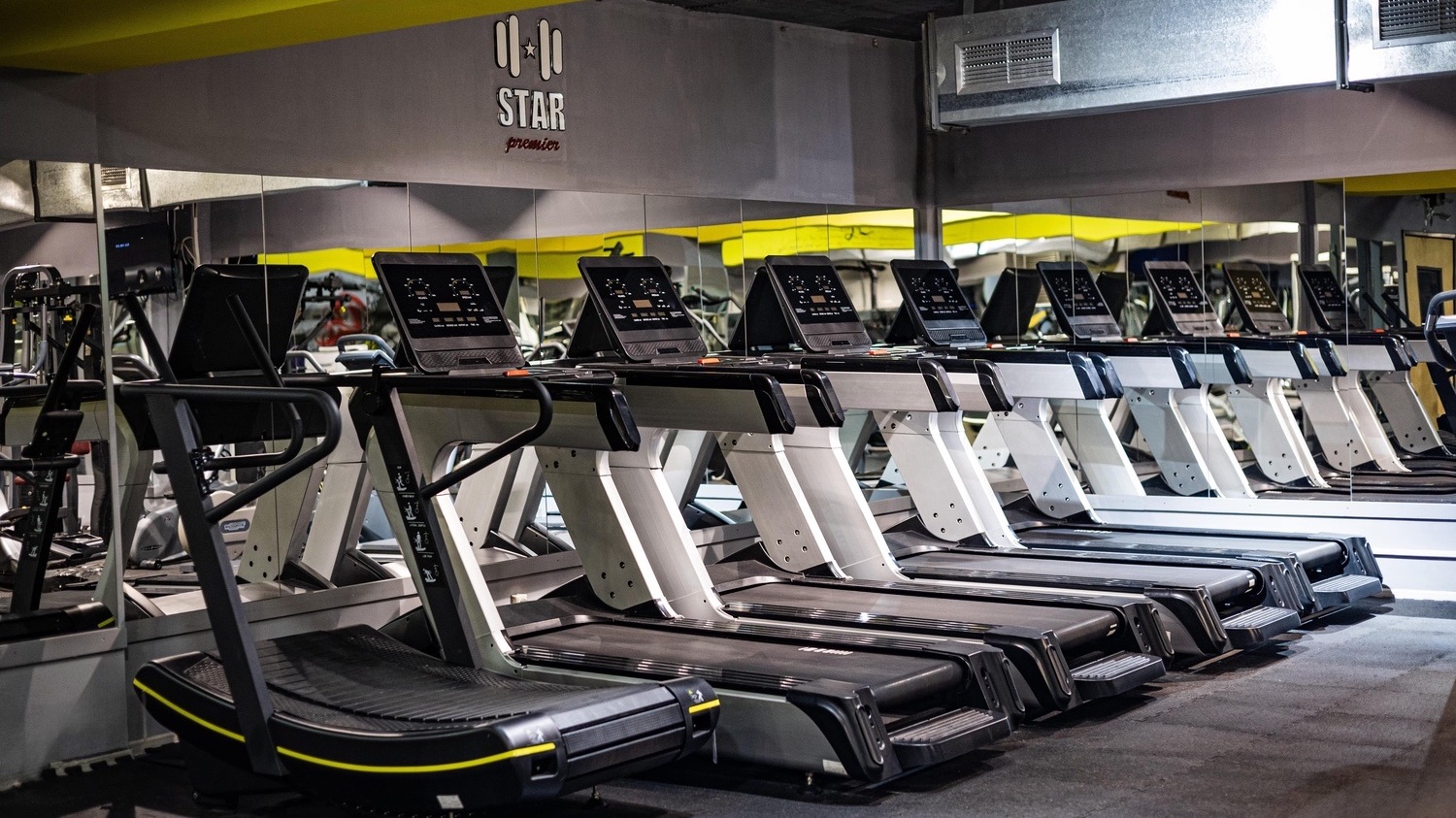 Star Gym | Alek Manukyan 9